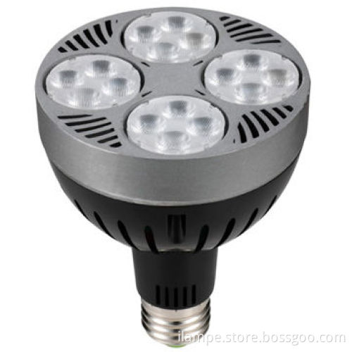 LED High Power PAR Light, PAR30, 35W LED, Aluminum, E27/E26 Socket 220V